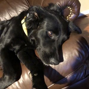 Meet your Posher, Jane